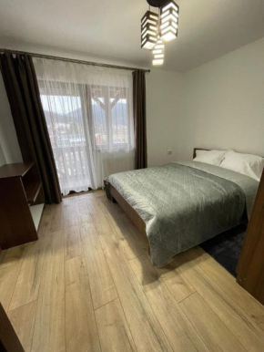 Coco Home Buşteni